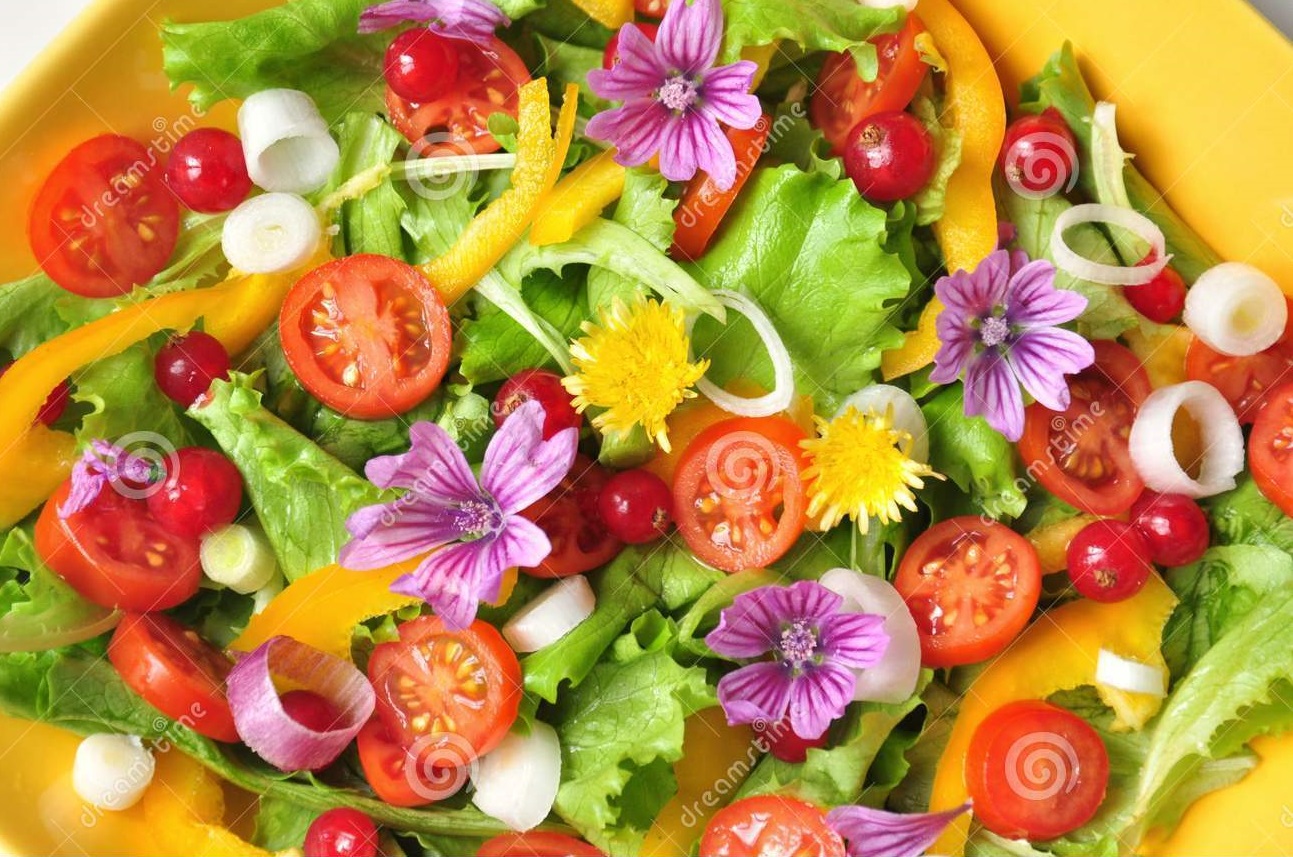 colorfulcleansesalad.jpg