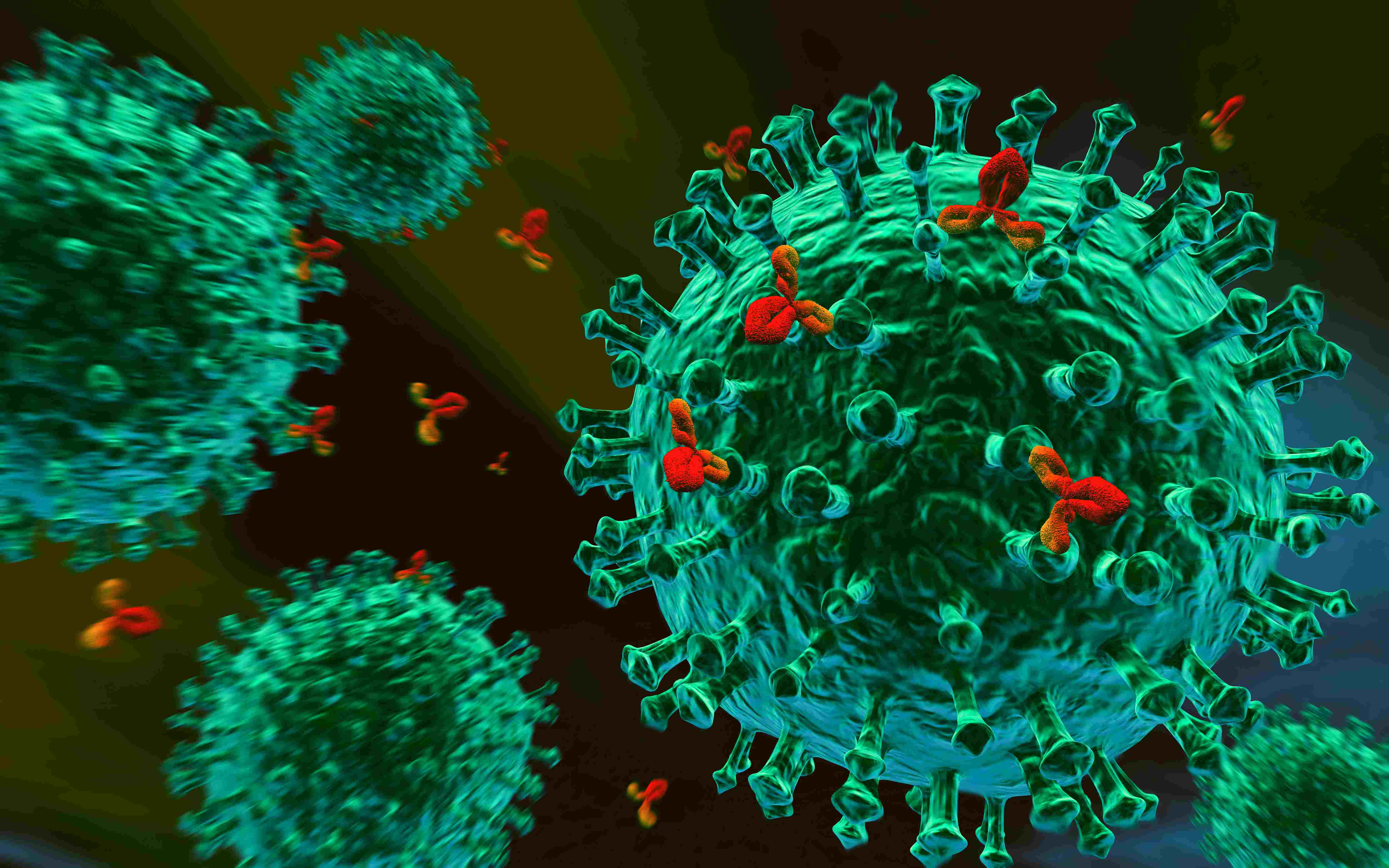 Белки гепатита с. Антиген антитело. Иммунитет антитела антигены. Антитела к коронавирусу под микроскопом. Белки антитела и антигены.
